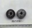 Click for 1 image(s) for this accession. FRUIT